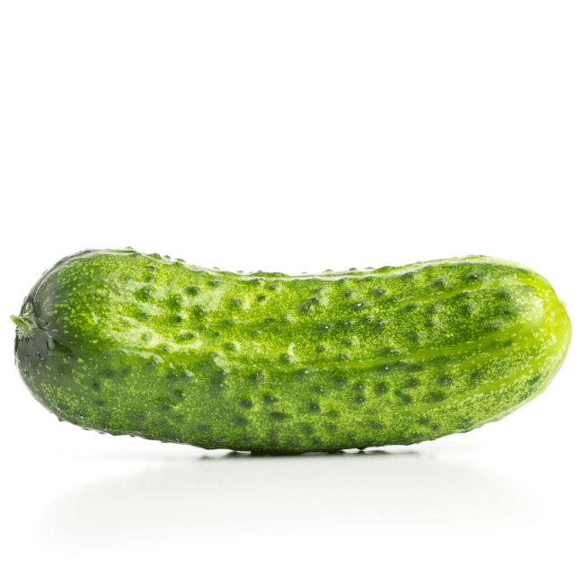 Green gherkin