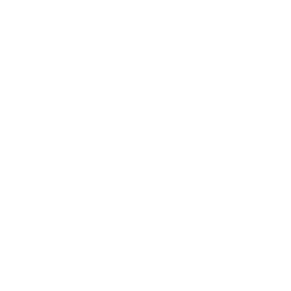 Legal 500 white logo